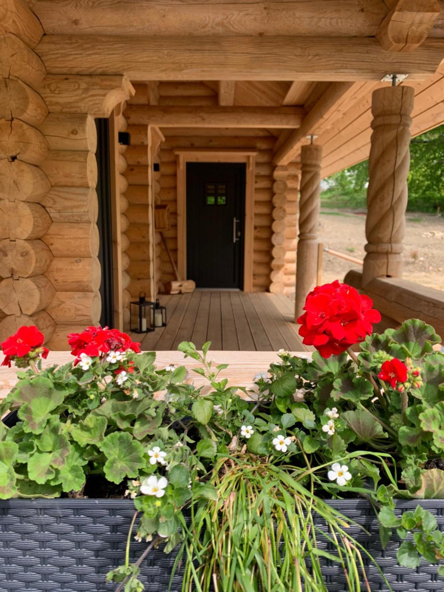 Traumzeit Hahnenkleer Huette Holiday home *